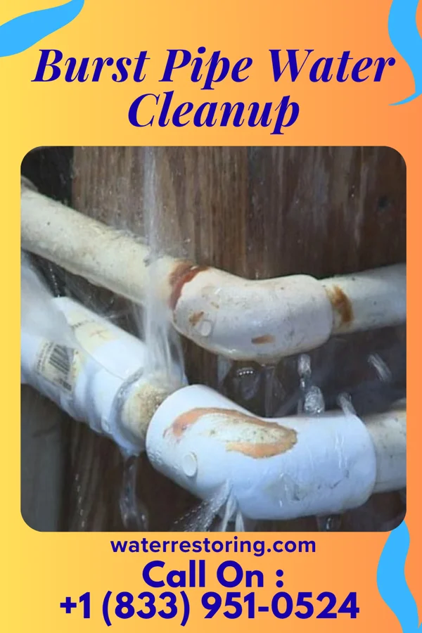 Burst Pipe Water Cleanup in Falcon Heights, MN