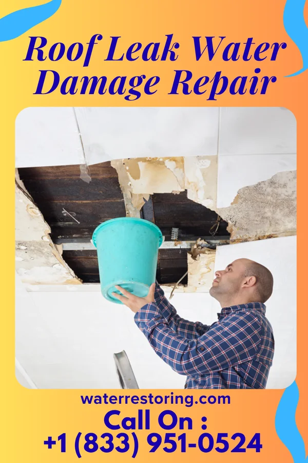 Roof Leak Water Damage Repair in Falcon Heights, MN