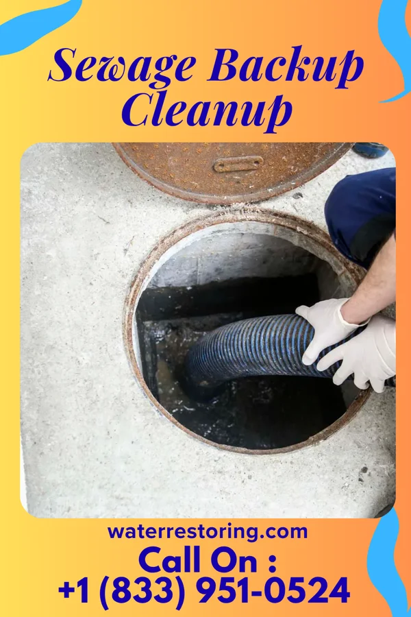 Sewage Backup Cleanup in Falcon Heights, MN